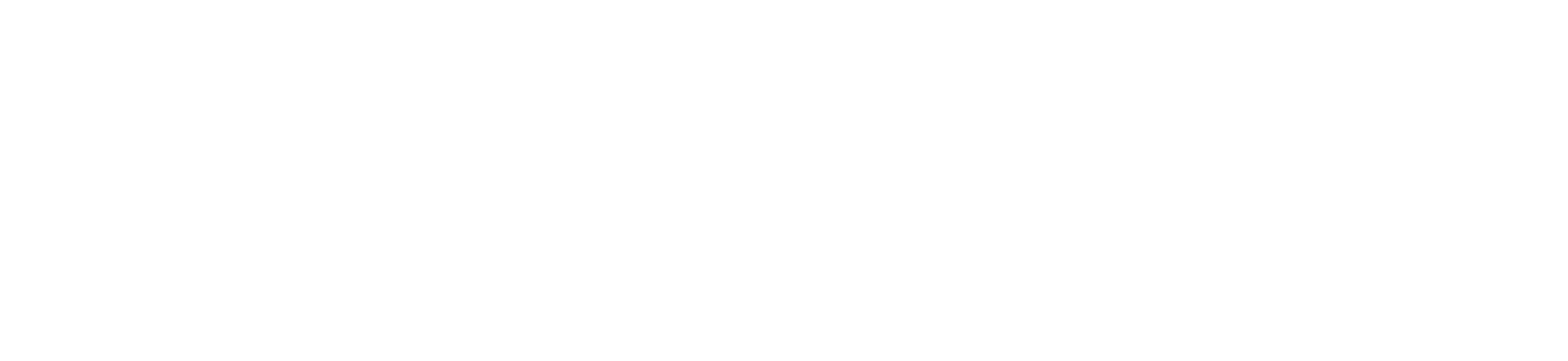 exocad logosu
